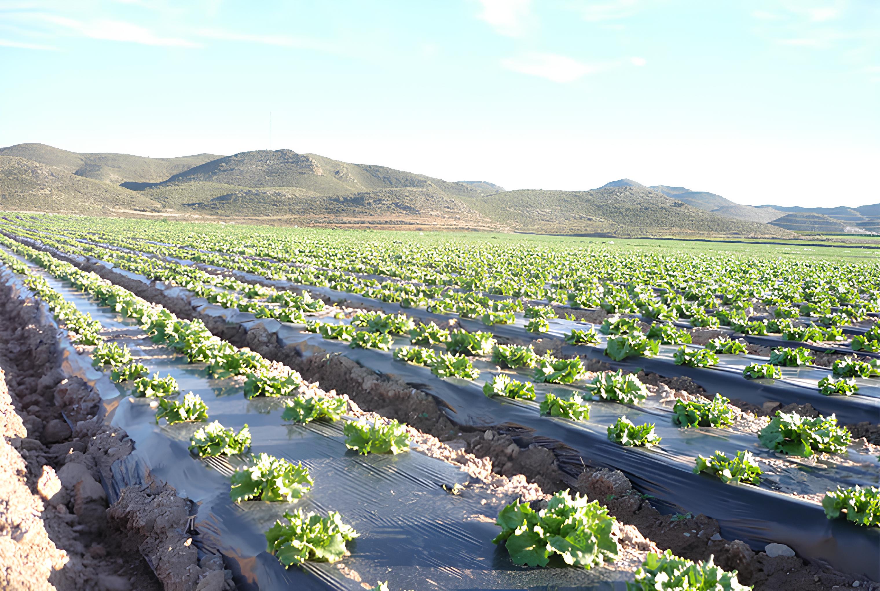Agriculture Films